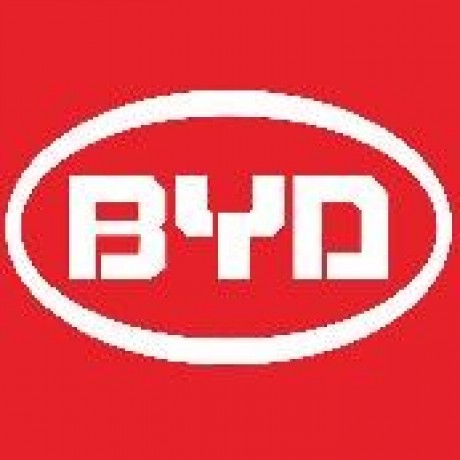 Logo BYD (Cambodia)