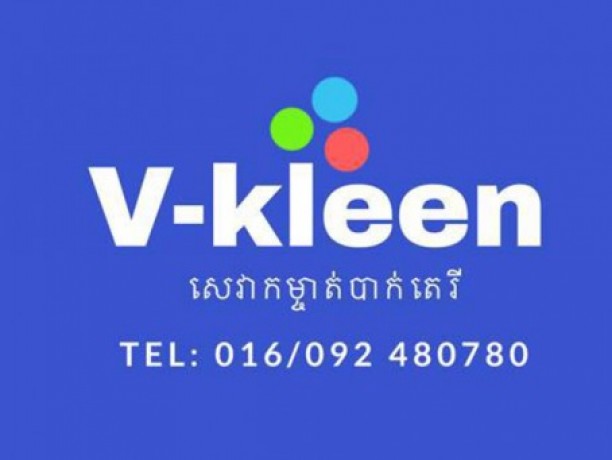 Logo V-Kleen
